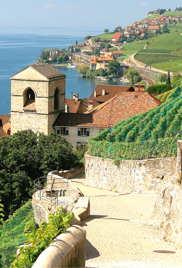 Vignobles de l'Appellation de St-Saphorin dans le Lavaux, patrimoine de l'UNESCO.