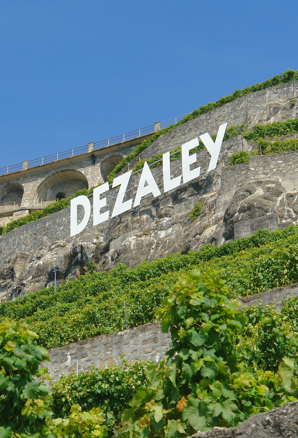Les vignobles du Dézaley, le terroir des vins de l'Arbalète, de la Maison Testuz.
