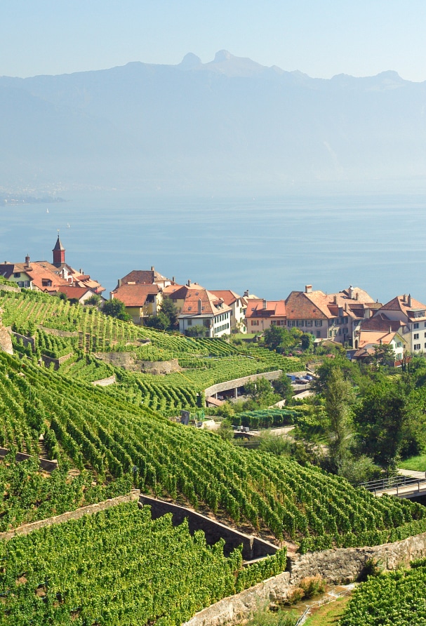 Les vignobles de la Maison Testuz dans le Lavaux.