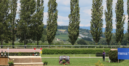 Les vins suisses Testuz sont partenaire de l'institut équestre national d'Avenches.